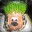 Mr.Chia Pet's avatar