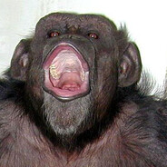 ChimpNout