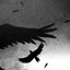 Chaotic_Crow