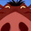 PUMBA