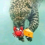 bf4 bf1