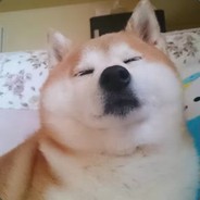 魏歌不是为个子