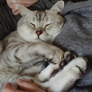 有问题联系克服