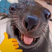 hhazze avatar