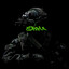 Erni3