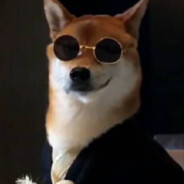 波赛克没了你我怎么活