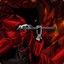 Hellsing ♥