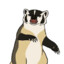 Badger
