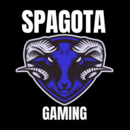 Spagota Gaming - steam id 76561198048341755