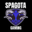 Spagota Gaming