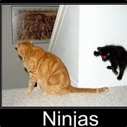Shinobi