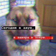 3ом6и_Y6ица2009