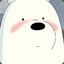 Ice Bear