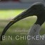 BIN CHICKEN