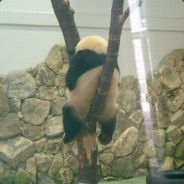 @KURURU@ - steam id 76561197971096030