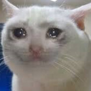 Hutch✧✵⚝ - steam id 76561198885338280