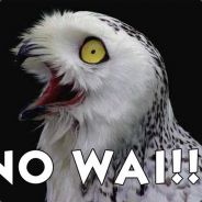 happyvirus - steam id 76561197961968175