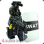 swat