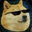 DOGE SPACE