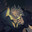 Biel's Avatar
