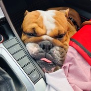 Meimaobinglaotie7777