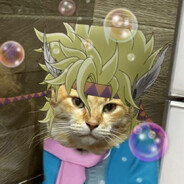 我以为认真去做就能实现我的梦