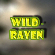 Бот Wild.Raven - steam id 76561198087027675