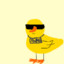 $wag Duck