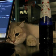 释怀不了的人总劝别人