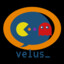 Velus