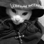 Mariucyo_⚬--- - steam id 76561199241654102