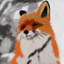 FoxBoyo