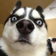 爸爸教你鎍牛子