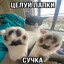 t.tv/EvJ3n