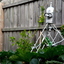 RoboticGarden3015