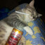 Ritzy