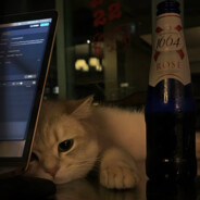 黛玉七擒威震天