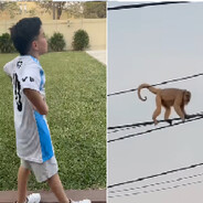 vinicius u u te vas eletroicutar