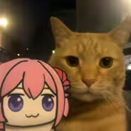 ❥❤芒果夹心薄荷糖❤