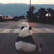 这游戏打得像在坐牢