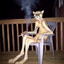 Puma cigarro