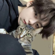 我没有猫也没有你