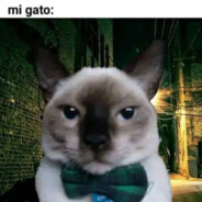 2k pero de conducta