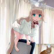 丁丁龙战术加强版