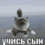 Учись сын Мияги