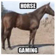Horse Gaming