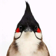 福州16中许昊龙在世真龙