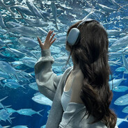 反应迟钝小蛋糕