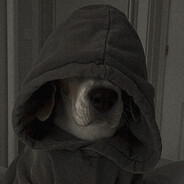 BombSniffingDog