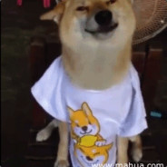 Only-眼泪不悲伤